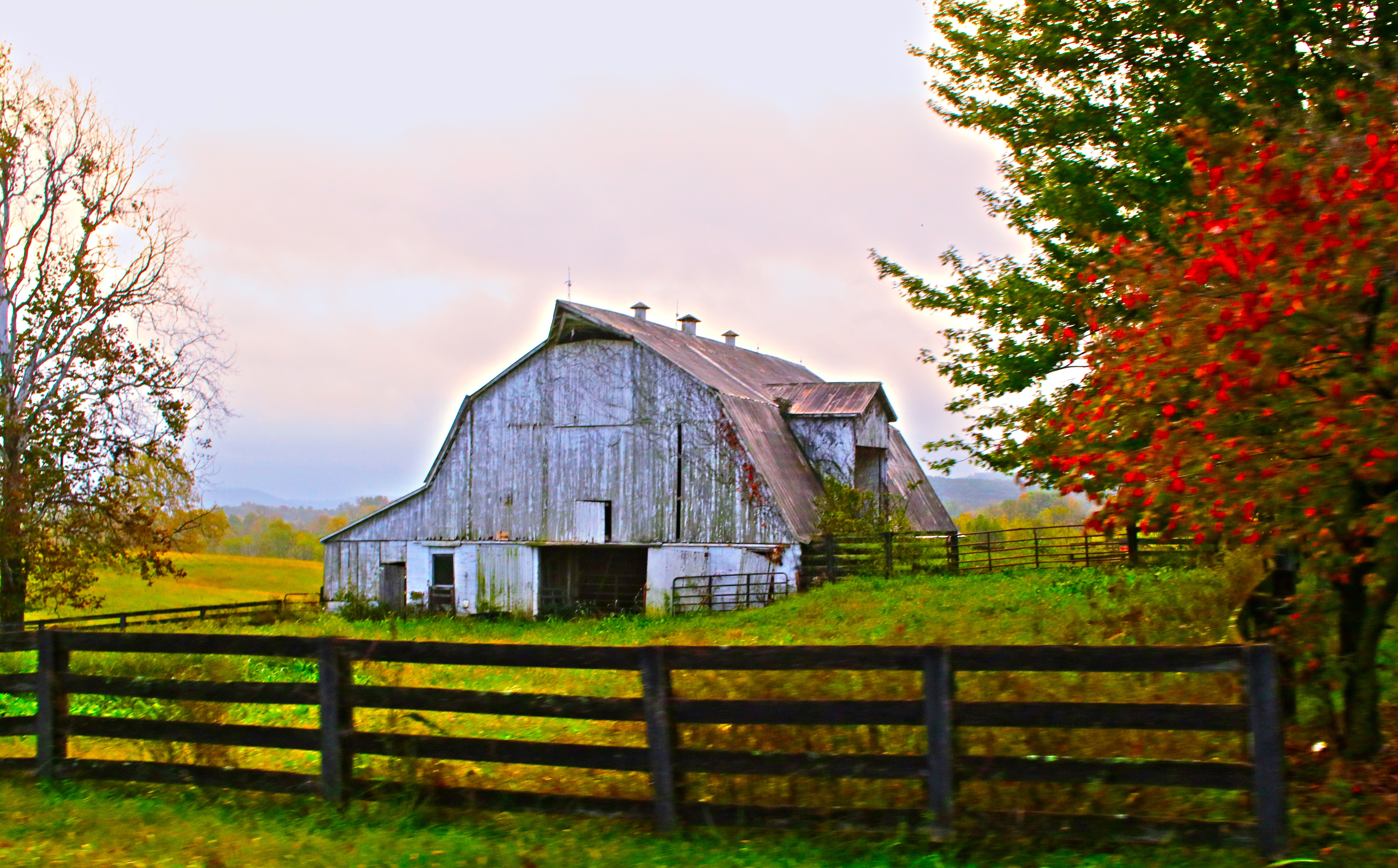 Farm sitting